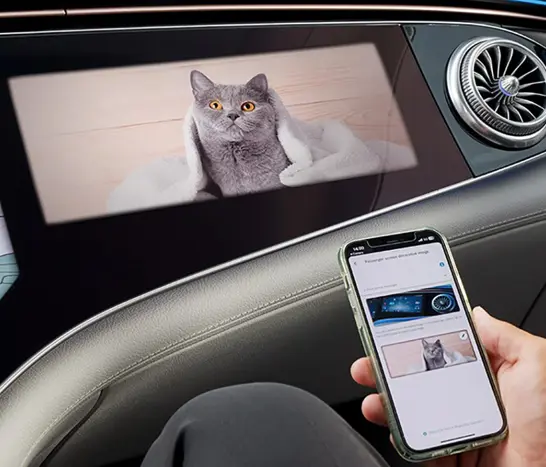 Persönliches Zierbild 1092 819 Persönliches Zierbild 1092 819