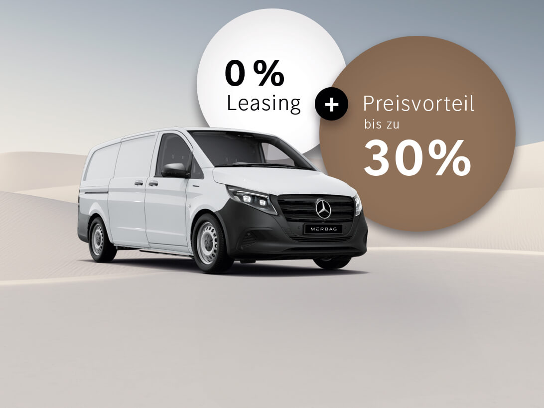 Evito Kastenwagen NEU DE 1092X819