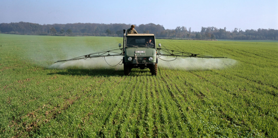 1966–1975 03 1966–1975 03