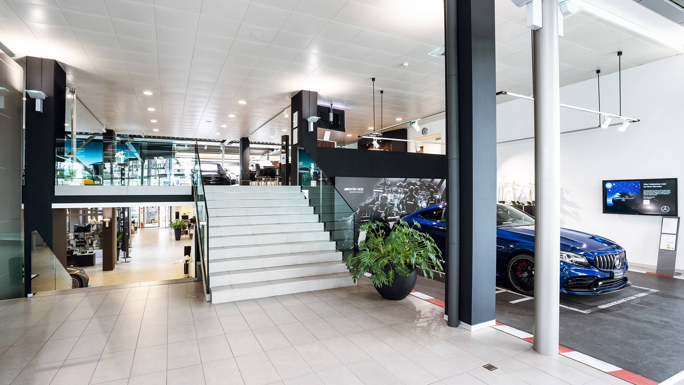 Bern Personenwagen Standort Showroom 01 2280X1283