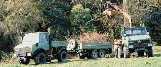 1976 1985 Leistungsstärke Und Siegerpodest 1976 1985 Leistungsstärke Und Siegerpodest