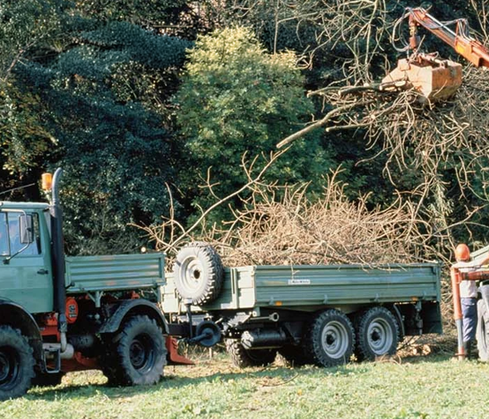 1976 1985 Leistungsstärke Und Siegerpodest 1976 1985 Leistungsstärke Und Siegerpodest