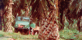 1966–1975 04 1966–1975 04