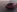Mercedes AMG GT 53 4MATIC+ 4 Tuerer Coupe Markantes AMG-spezifisches Heck - Merbag Mercedes AMG GT 53 4MATIC+ 4 Tuerer Coupe Markantes AMG-spezifisches Heck - Merbag